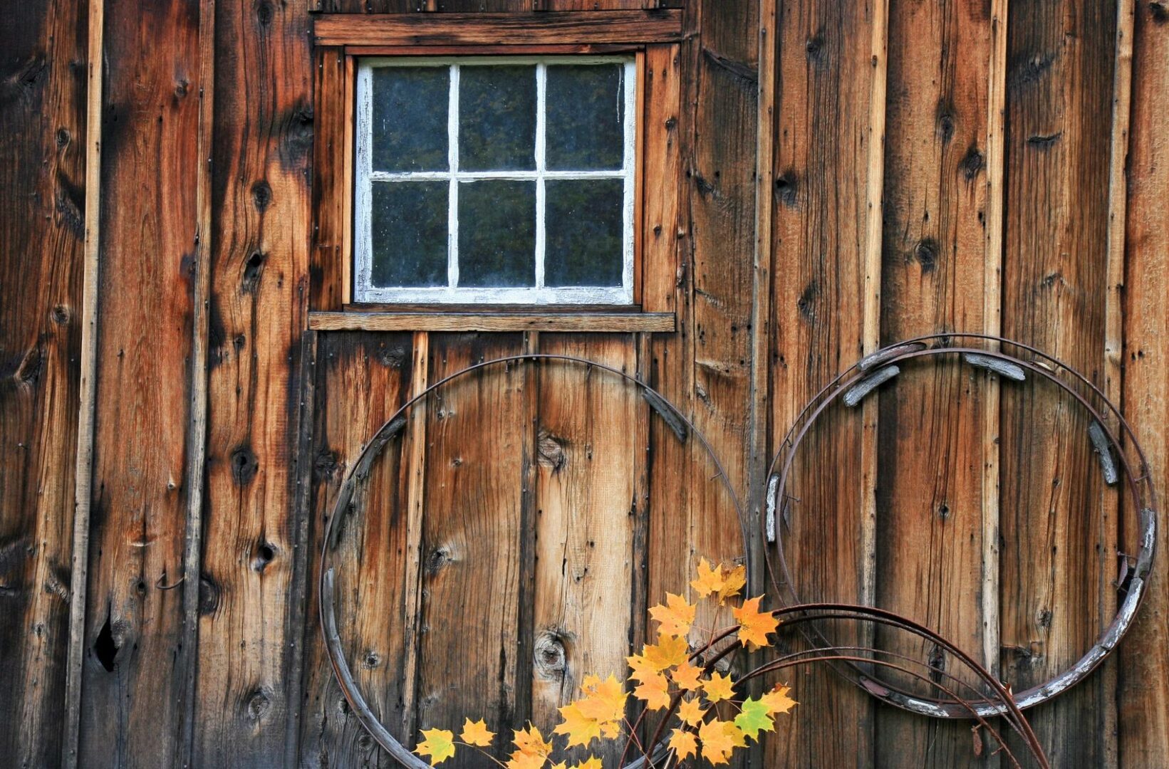 A window with flowers in the middle of it