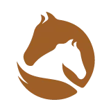 A brown horse and a white horse in the shape of a circle.