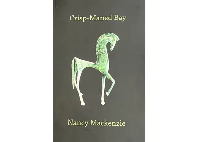 A book cover with a horse on it.