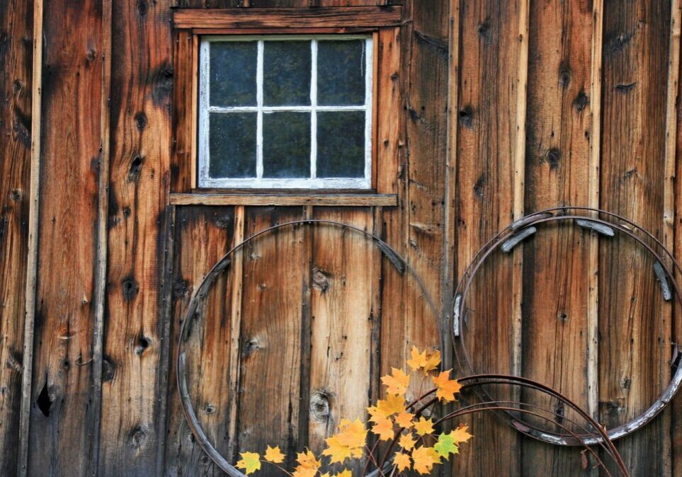 A window with flowers in the middle of it